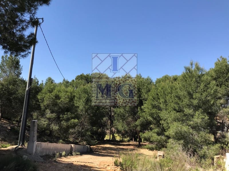 Terreno/Finca Rústica en El Esparragal en venta - 23.000 € (Ref: 9412330)