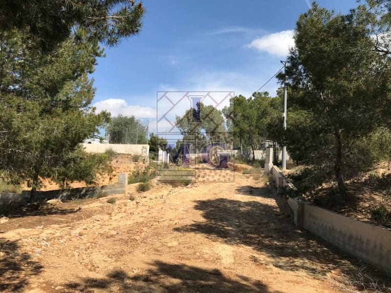 Terreno/Finca Rústica en El Esparragal en venta - 23.000 € (Ref: 9412330)