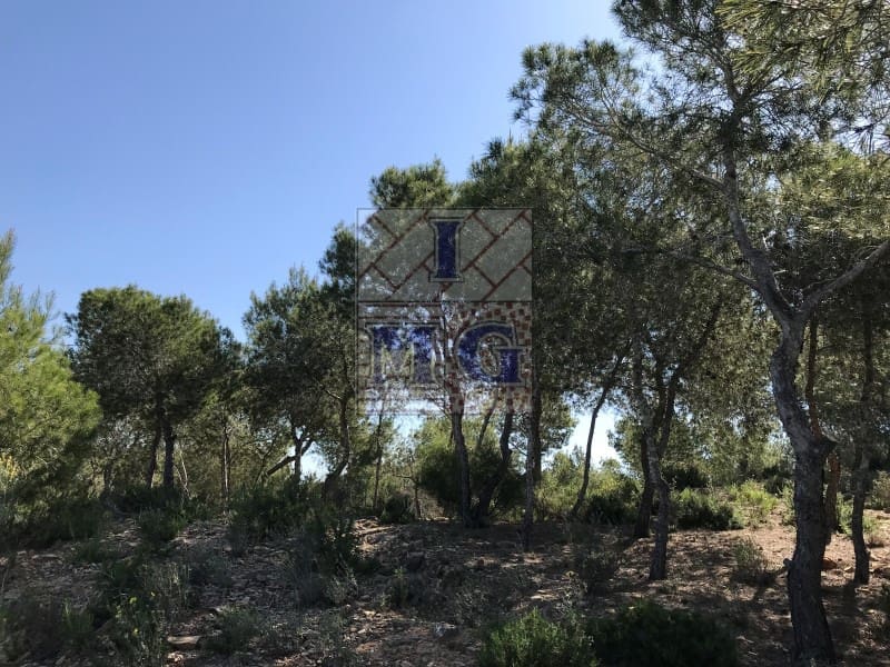 Terreno/Finca Rústica en El Esparragal en venta - 23.000 € (Ref: 9412330)
