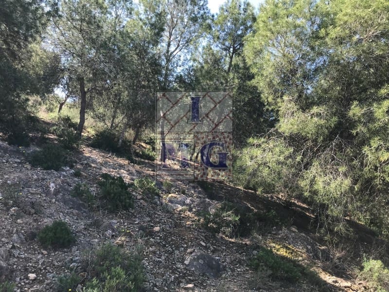 Terreno/Finca Rústica en El Esparragal en venta - 23.000 € (Ref: 9412330)