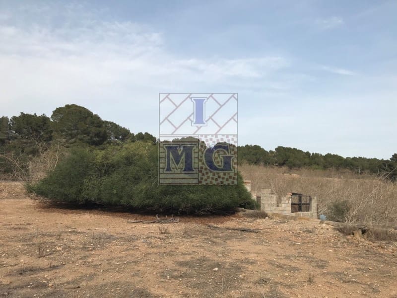 4 bedroom Finca/Country House for sale in El Esparragal - € 93,000 (Ref: 9412333)