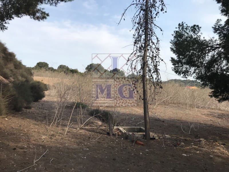 4 bedroom Finca/Country House for sale in El Esparragal - € 93,000 (Ref: 9412333)