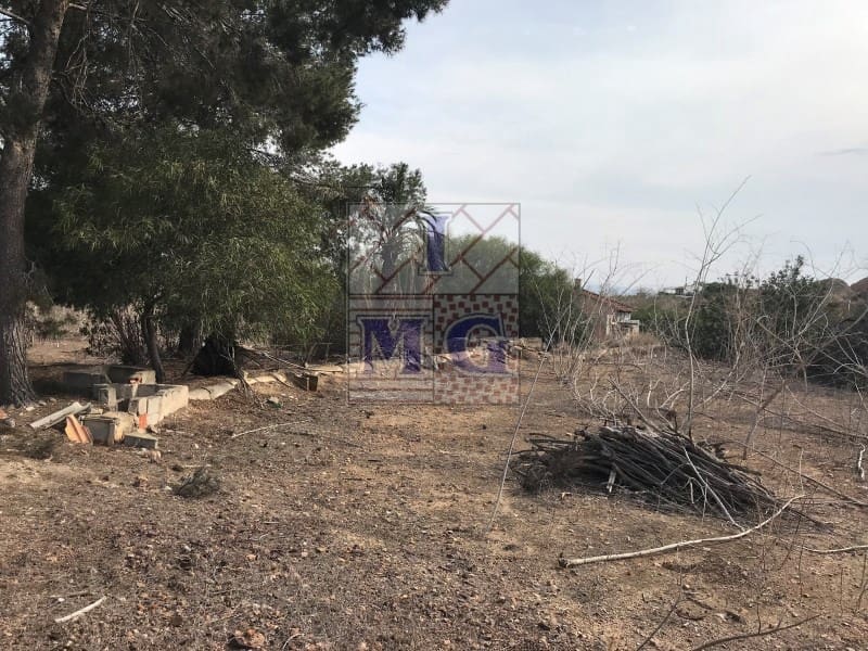 4 bedroom Finca/Country House for sale in El Esparragal - € 93,000 (Ref: 9412333)