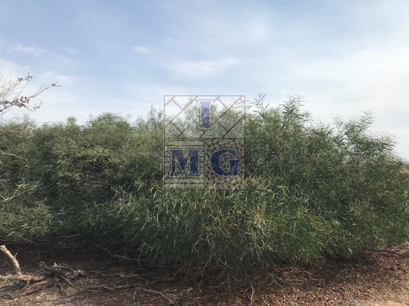 4 bedroom Finca/Country House for sale in El Esparragal - € 93,000 (Ref: 9412333)