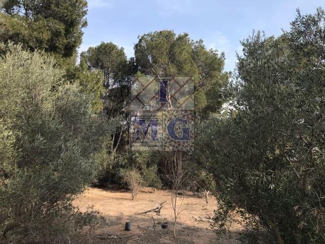 4 chambre Finca/Maison de Campagne à vendre à El Esparragal, Murcie ville - 93 000 € (Ref: 9412333)