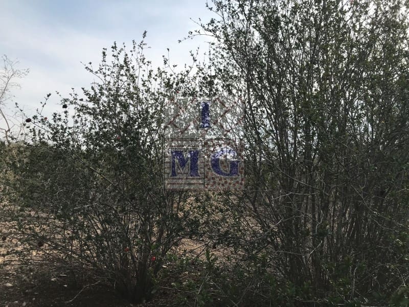 4 bedroom Finca/Country House for sale in El Esparragal - € 93,000 (Ref: 9412333)