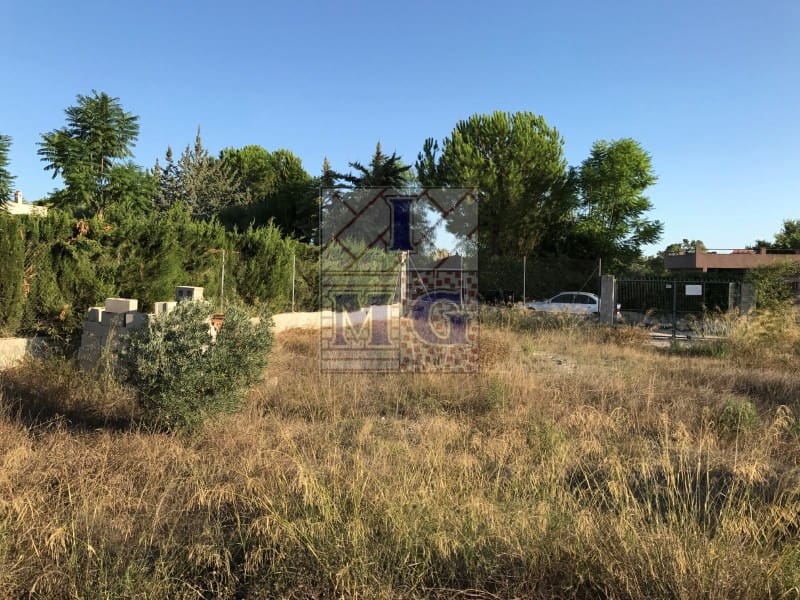 Undeveloped Land for sale in Fortuna - € 35,500 (Ref: 9412345)