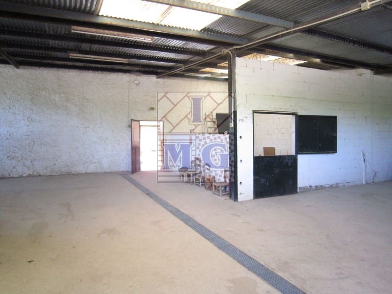 4 bedroom Finca/Country House for sale in Banos y Mendigo - € 600,000 (Ref: 9412353)