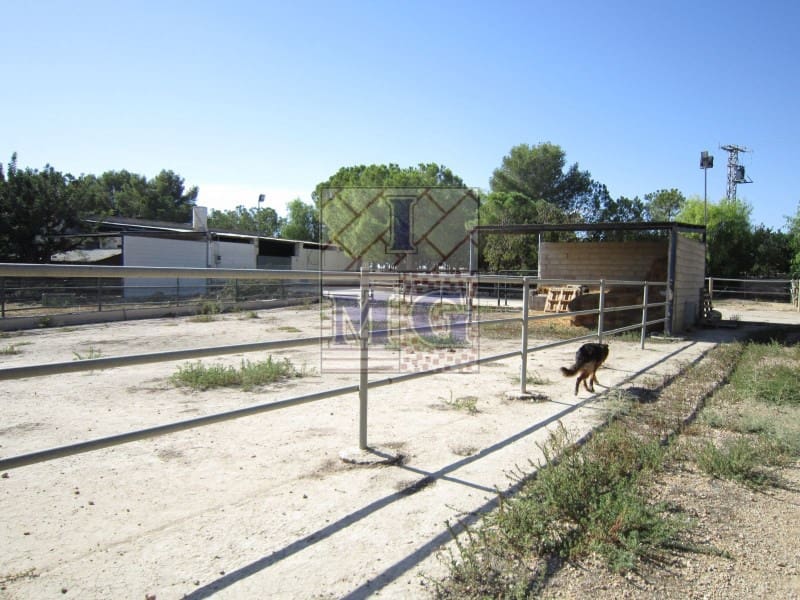 4 bedroom Finca/Country House for sale in Banos y Mendigo - € 600,000 (Ref: 9412353)