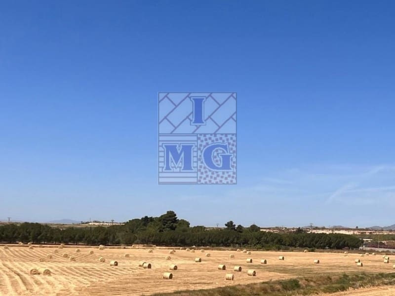 4 bedroom Finca/Country House for sale in Banos y Mendigo - € 600,000 (Ref: 9412353)