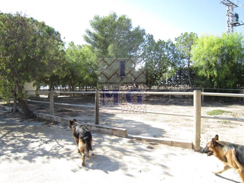 4 bedroom Finca/Country House for sale in Banos y Mendigo - € 600,000 (Ref: 9412353)