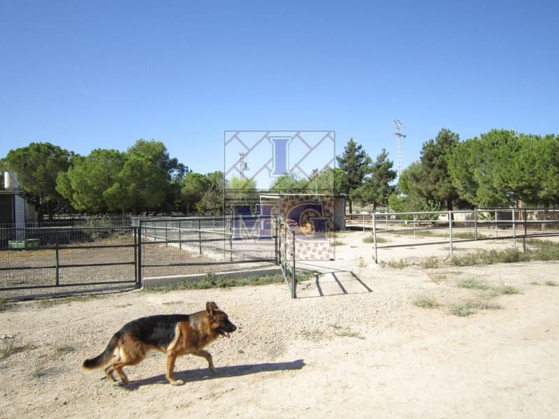 4 bedroom Finca/Country House for sale in Banos y Mendigo - € 600,000 (Ref: 9412353)