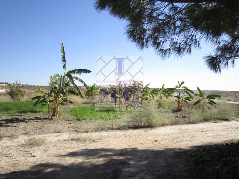 4 bedroom Finca/Country House for sale in Banos y Mendigo - € 600,000 (Ref: 9412353)