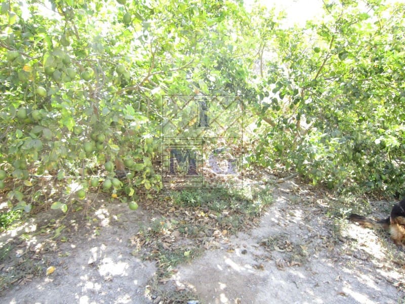 4 bedroom Finca/Country House for sale in Banos y Mendigo - € 600,000 (Ref: 9412353)