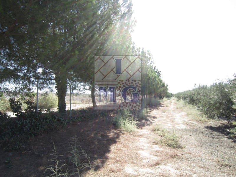 4 bedroom Finca/Country House for sale in Banos y Mendigo - € 600,000 (Ref: 9412353)