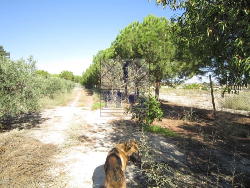 4 bedroom Finca/Country House for sale in Banos y Mendigo - € 600,000 (Ref: 9412353)