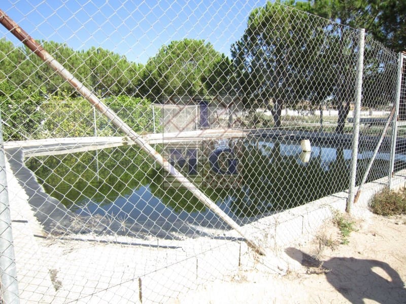 4 bedroom Finca/Country House for sale in Banos y Mendigo - € 600,000 (Ref: 9412353)