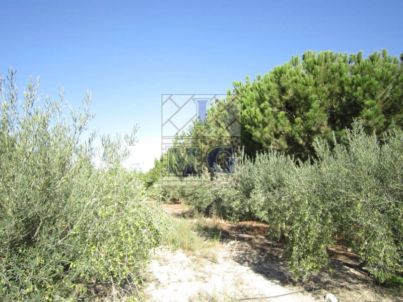 4 bedroom Finca/Country House for sale in Banos y Mendigo - € 600,000 (Ref: 9412353)