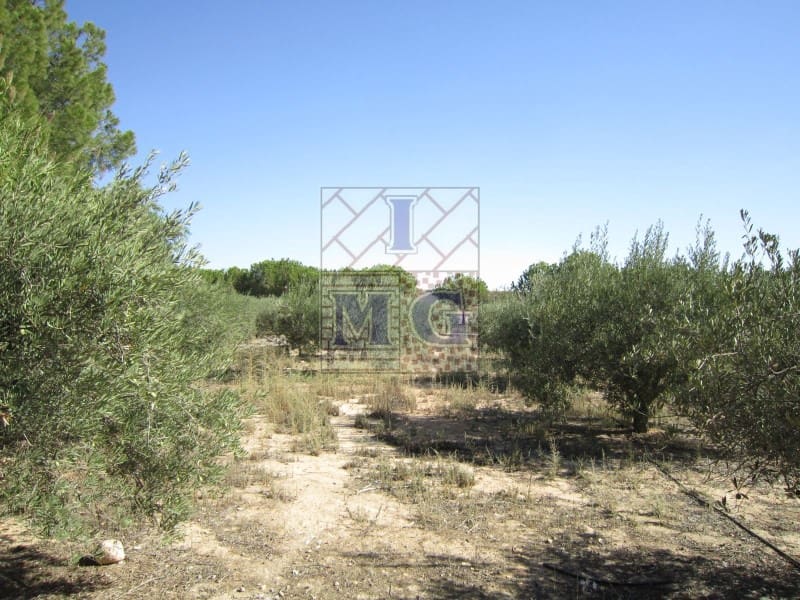 4 bedroom Finca/Country House for sale in Banos y Mendigo - € 600,000 (Ref: 9412353)