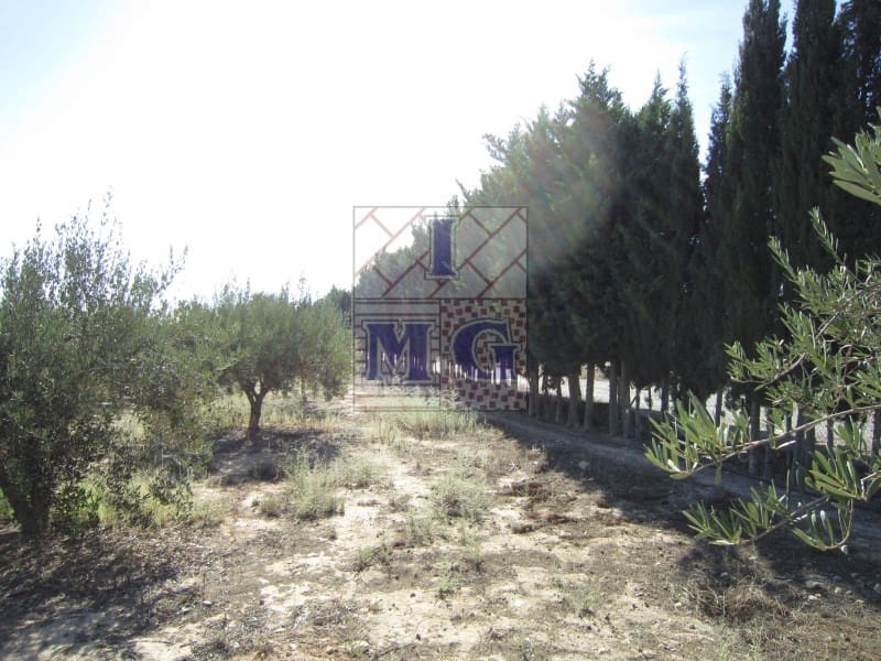 4 bedroom Finca/Country House for sale in Banos y Mendigo - € 600,000 (Ref: 9412353)