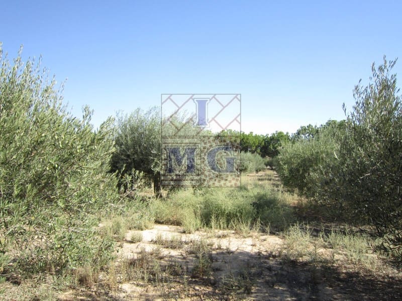 4 bedroom Finca/Country House for sale in Banos y Mendigo - € 600,000 (Ref: 9412353)