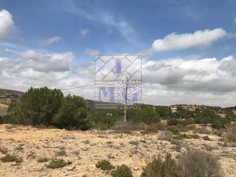 Terreno/Finca Rústica en El Esparragal en venta - 60.000 € (Ref: 9412354)