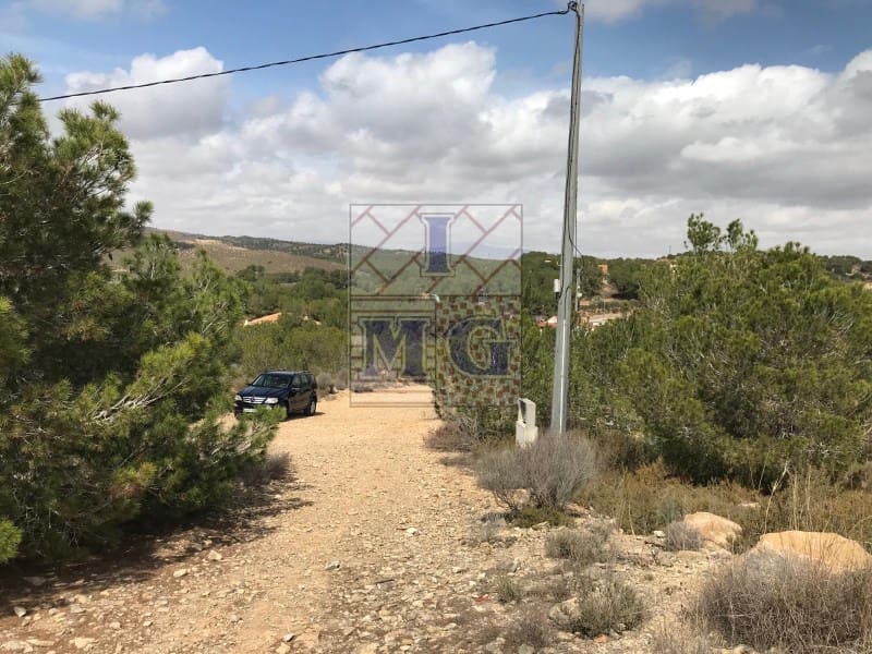 Terreno/Finca Rústica en El Esparragal en venta - 60.000 € (Ref: 9412354)