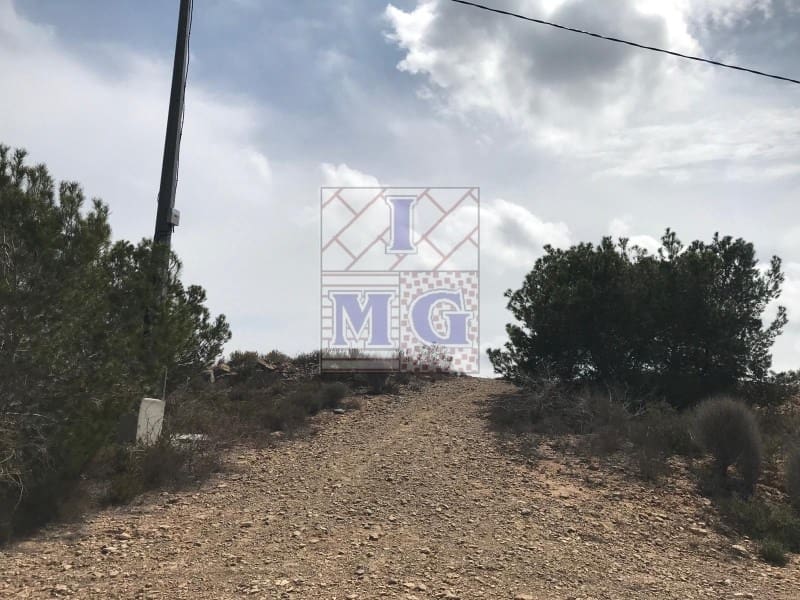 Terreno/Finca Rústica en El Esparragal en venta - 60.000 € (Ref: 9412354)