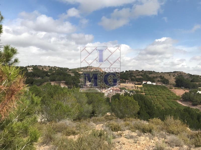 Terreno/Finca Rústica en El Esparragal en venta - 60.000 € (Ref: 9412354)