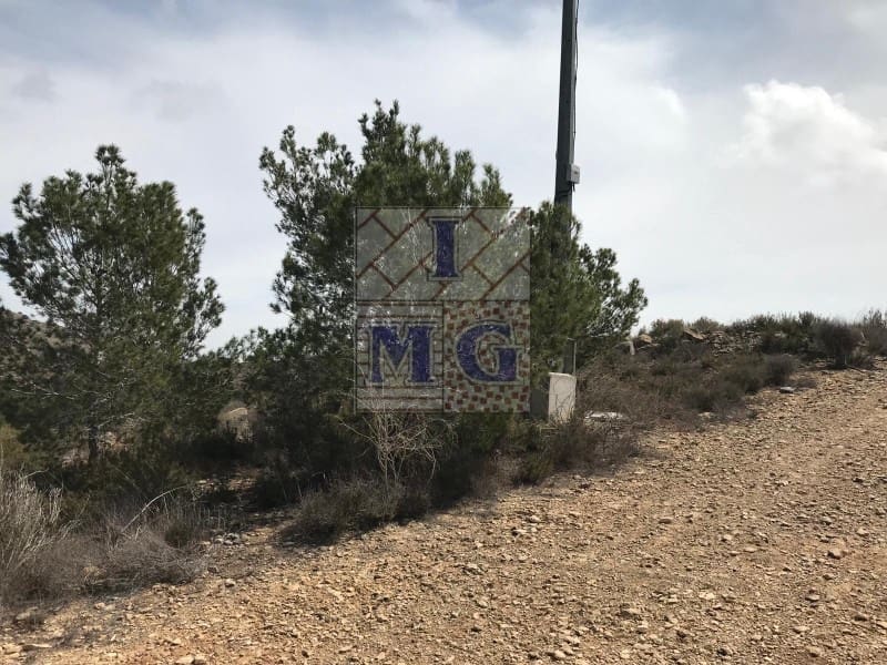 Terreno/Finca Rústica en El Esparragal en venta - 60.000 € (Ref: 9412354)