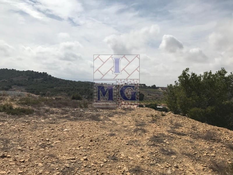 Terreno/Finca Rústica en El Esparragal en venta - 60.000 € (Ref: 9412354)