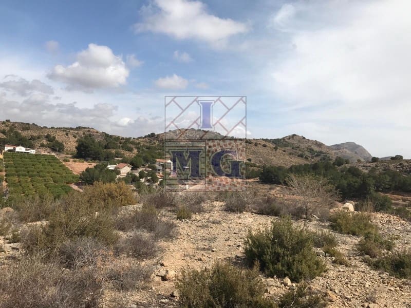 Terreno/Finca Rústica en El Esparragal en venta - 60.000 € (Ref: 9412354)