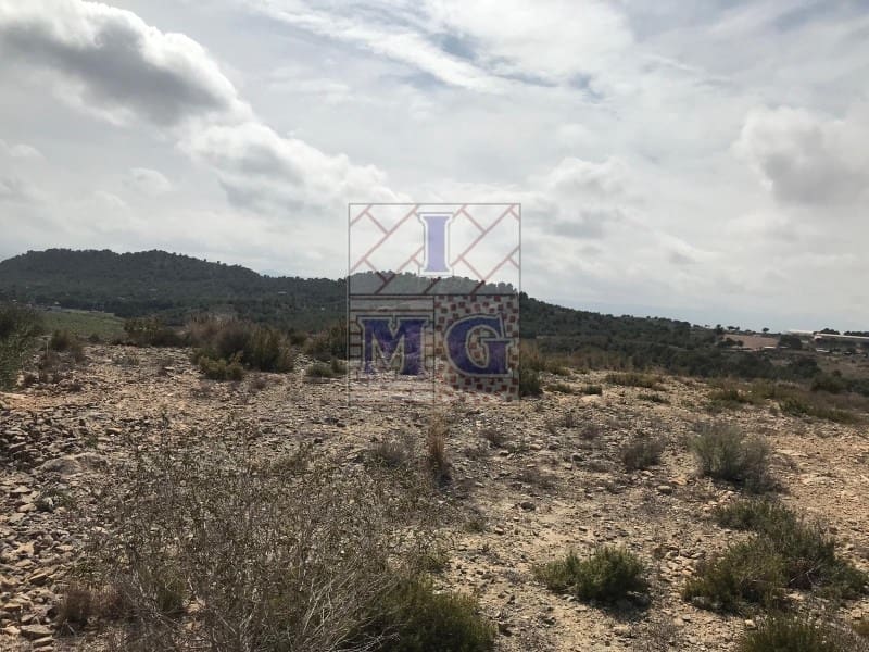 Terreno/Finca Rústica en El Esparragal en venta - 60.000 € (Ref: 9412354)