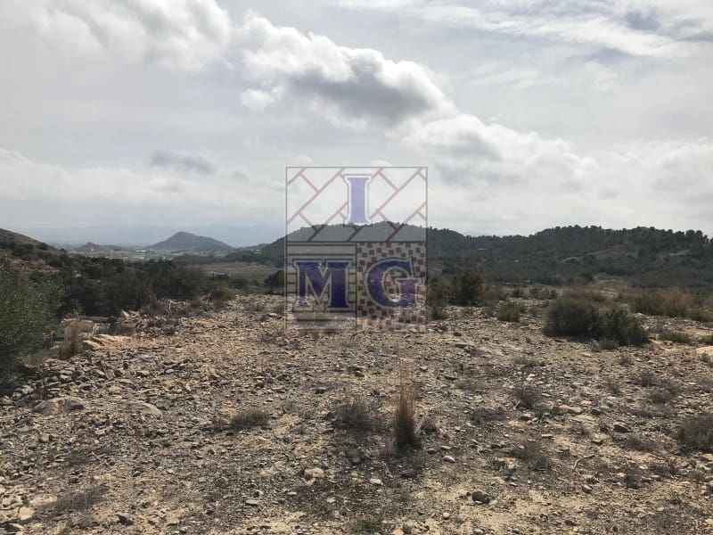 Terreno/Finca Rústica en El Esparragal en venta - 60.000 € (Ref: 9412354)