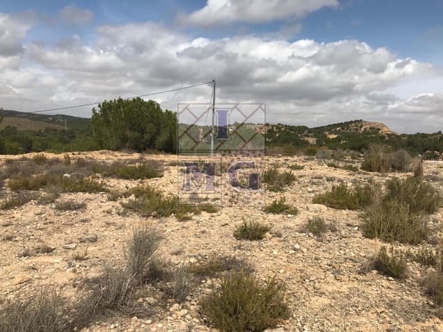 Terreno/Finca Rústica en El Esparragal, Murcia ciudad en venta - 60.000 € (Ref: 9412354)