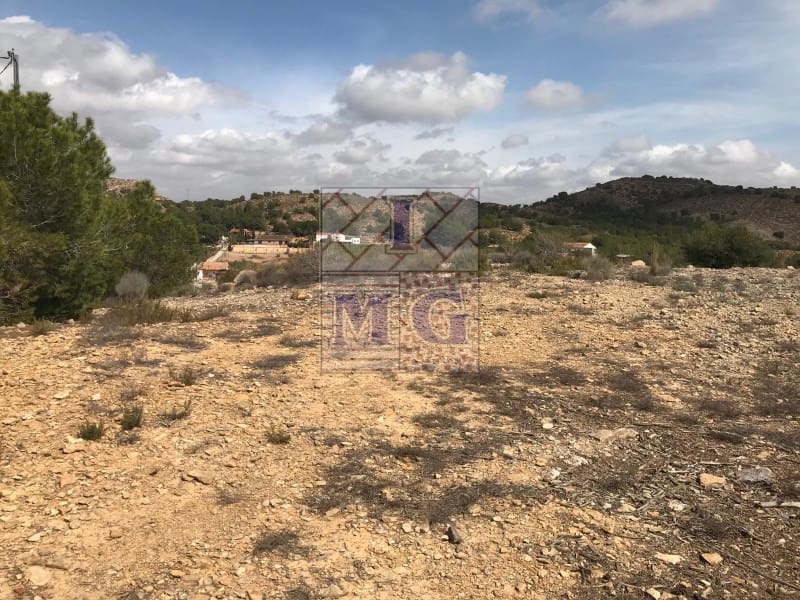 Terreno/Finca Rústica en El Esparragal en venta - 60.000 € (Ref: 9412354)