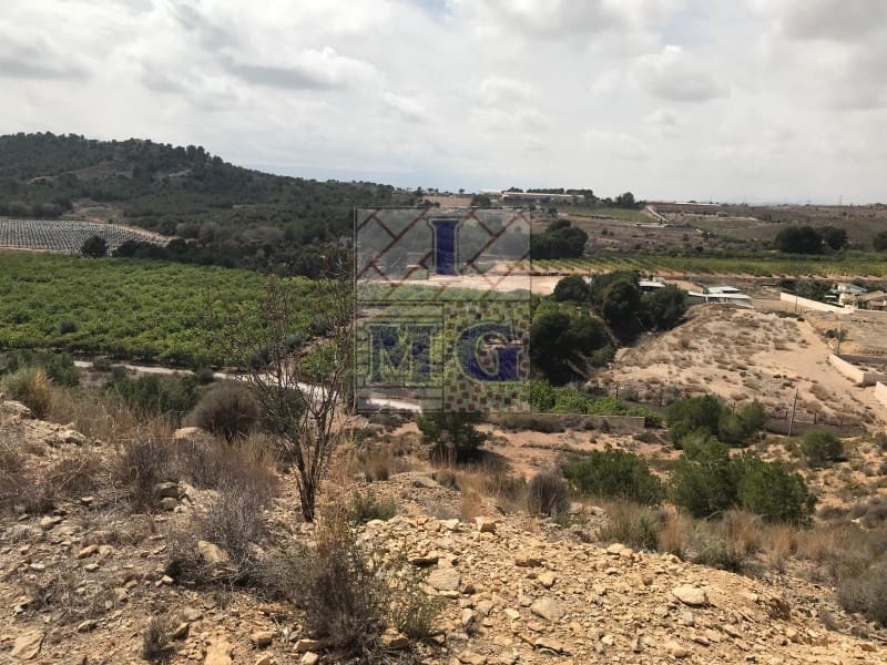 Terreno/Finca Rústica en El Esparragal en venta - 60.000 € (Ref: 9412354)