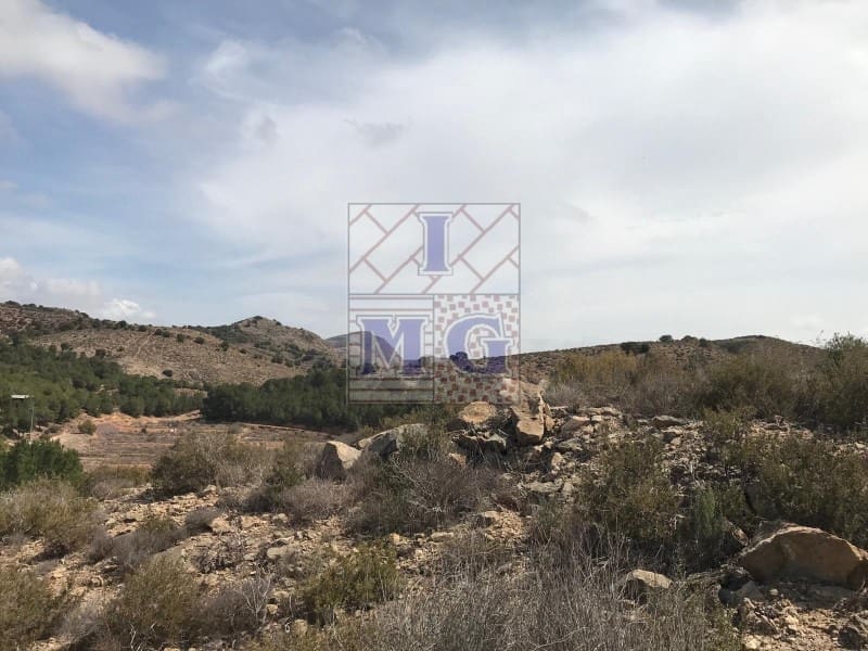 Terreno/Finca Rústica en El Esparragal en venta - 60.000 € (Ref: 9412354)