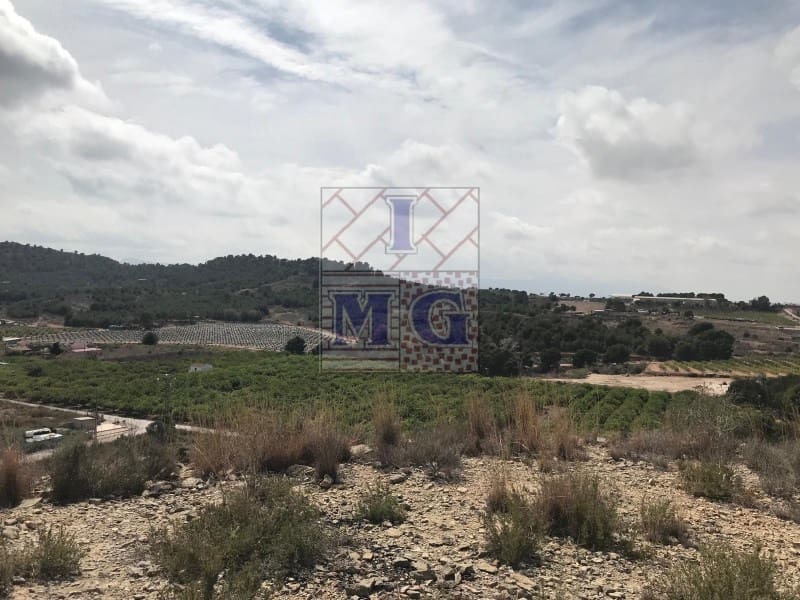Terreno/Finca Rústica en El Esparragal en venta - 60.000 € (Ref: 9412354)
