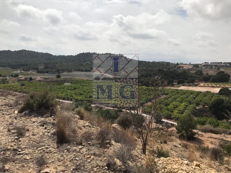 Terreno/Finca Rústica en El Esparragal en venta - 60.000 € (Ref: 9412354)
