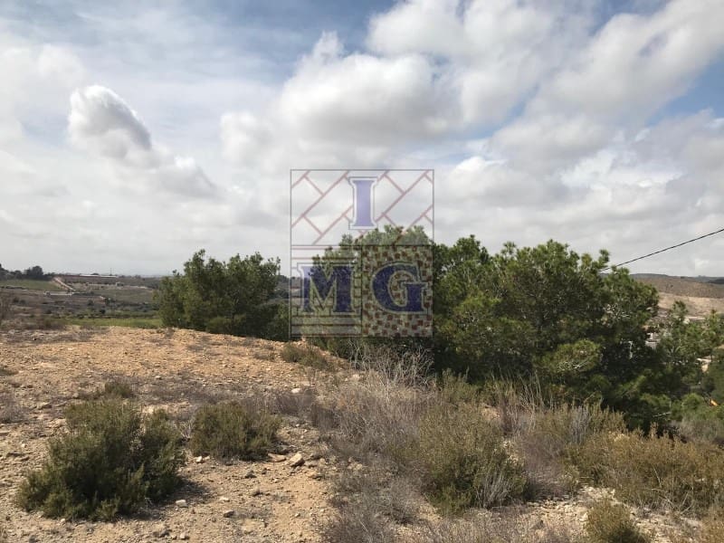 Terreno/Finca Rústica en El Esparragal en venta - 60.000 € (Ref: 9412354)