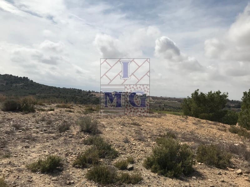 Terreno/Finca Rústica en El Esparragal en venta - 60.000 € (Ref: 9412354)
