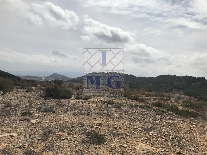 Terreno/Finca Rústica en El Esparragal en venta - 60.000 € (Ref: 9412354)