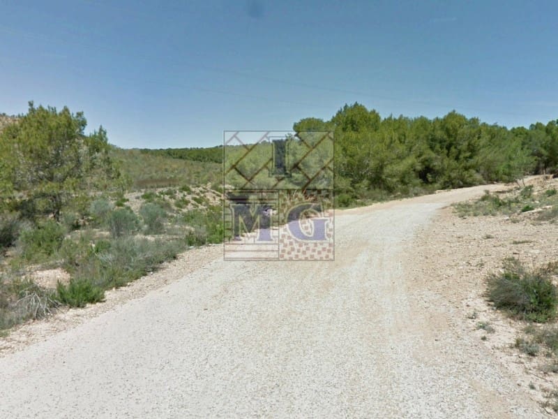 Terreno/Finca Rústica en El Esparragal en venta - 36.000 € (Ref: 9412366)