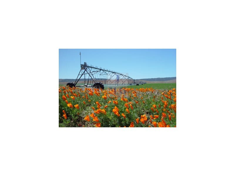 Finca/Country House for sale in Albacete city - € 6,400,000 (Ref: 9412380)