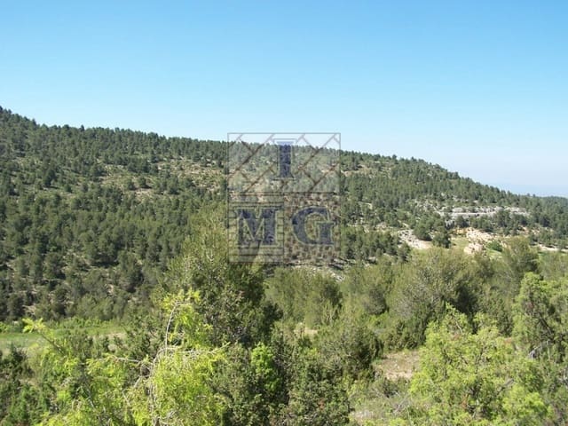 Terreno/Finca Rústica en Cieza en venta - 485.000 € (Ref: 9412394)