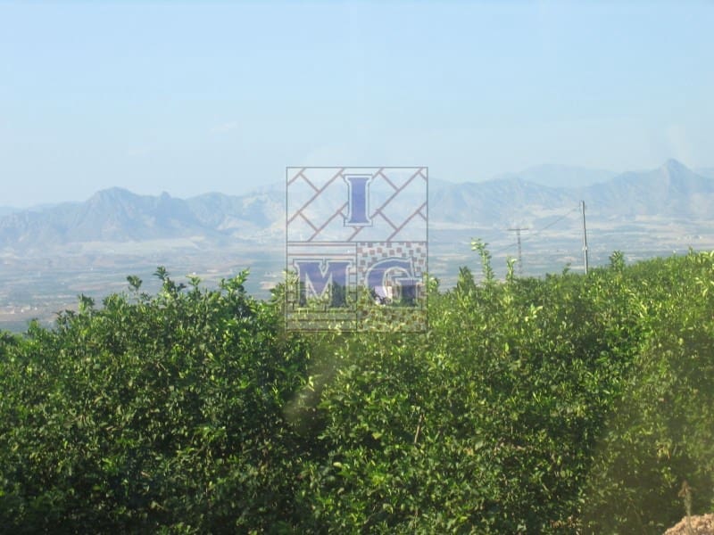 Undeveloped Land for sale in Fortuna - € 120,000 (Ref: 9412399)