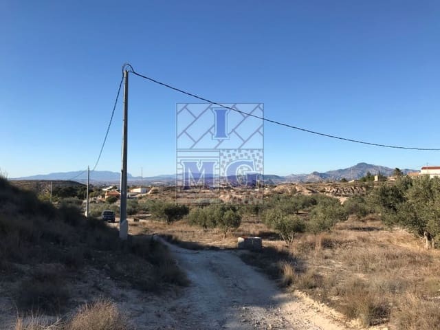 Terreno Non Edificato in vendita in Molina de Segura - 42.000 € (Rif: 9412402)