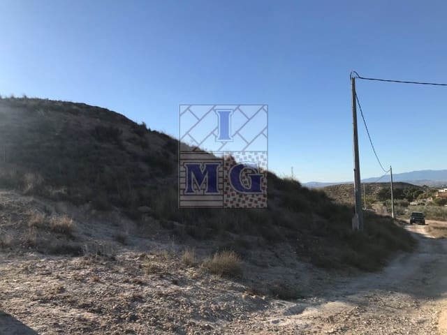 Terreno Non Edificato in vendita in Molina de Segura - 42.000 € (Rif: 9412402)