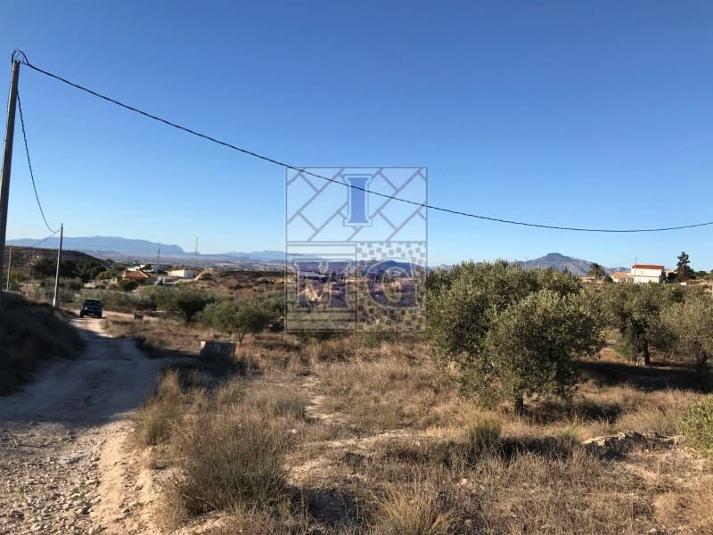 Teren niezagospodarowany na sprzedaż w Molina de Segura - 42 000 € (Ref: 9412402)